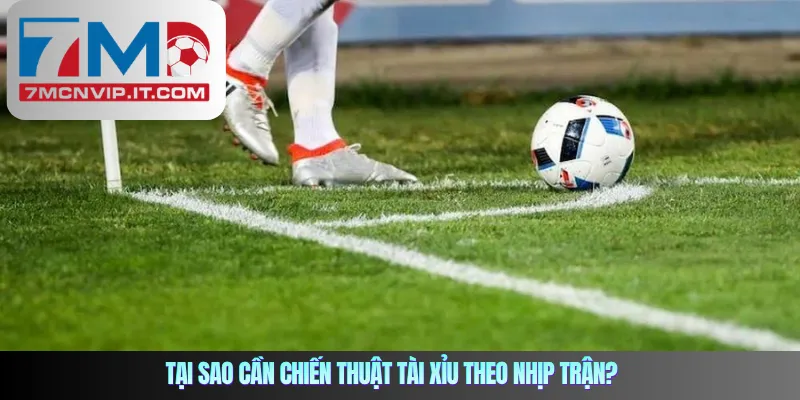 Tại sao cần chiến thuật tài xỉu theo nhịp trận?